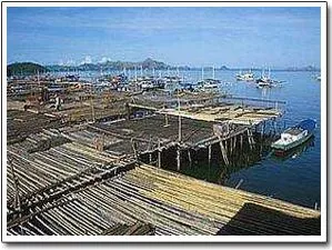 6Flores Tour Overland Packages 6 Days 5 Nights